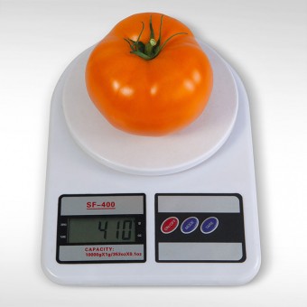 ТОМАТ ДЕТЕРМИНАНТНЫЙ  АЙСАН F1