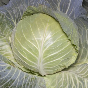 Капуста Белокочанная KS 29 F1