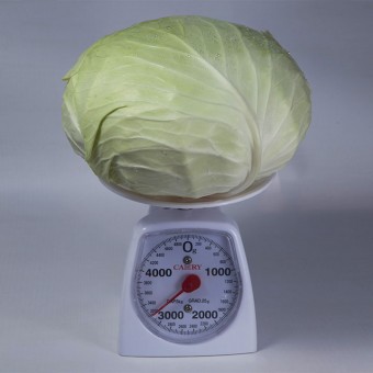 Капуста Белокочанная НАОМИ F1