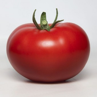 Томат Индетерминантный   KS 301  F1