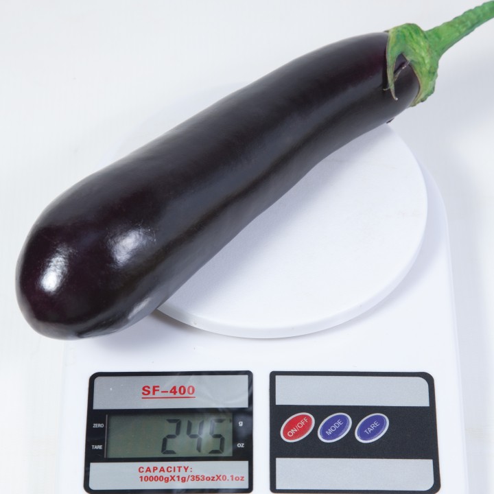 Баклажан KS 4804 F1 