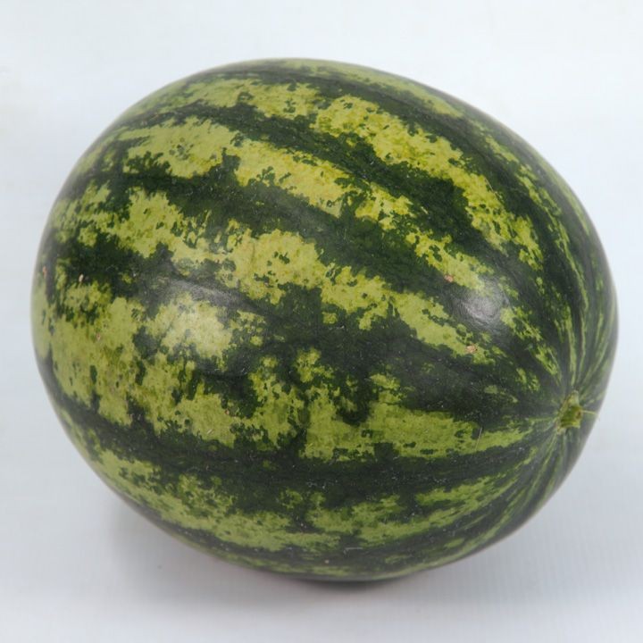 Арбуз KS 633 F1 