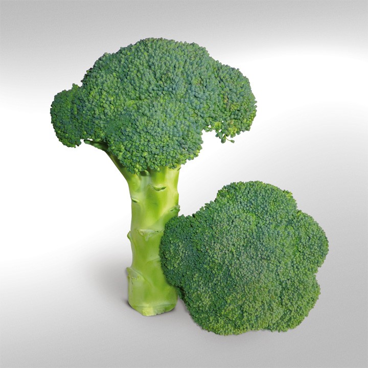 Капуста Брокколи KS 355 F1