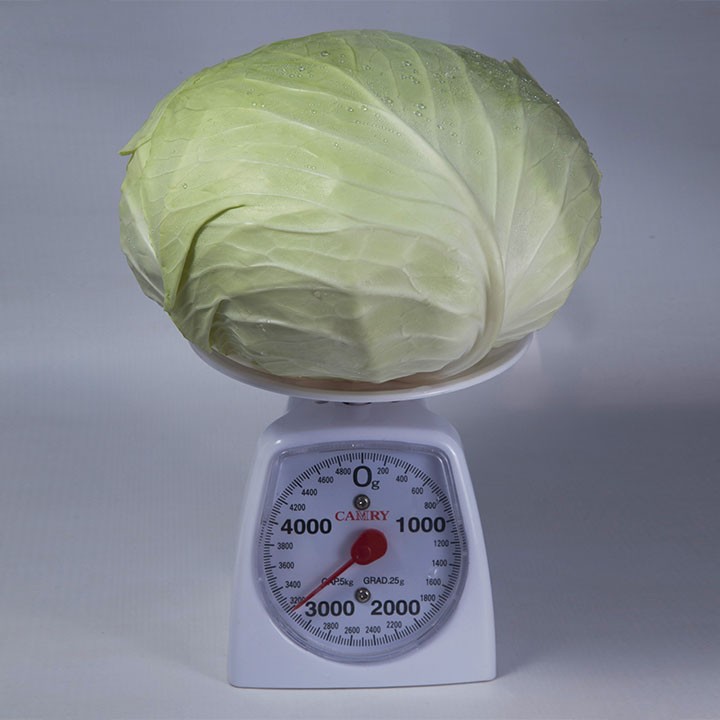 Капуста Белокочанная НАОМИ F1