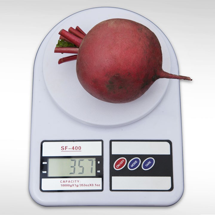 Редис Дайкон KS 2078 F1