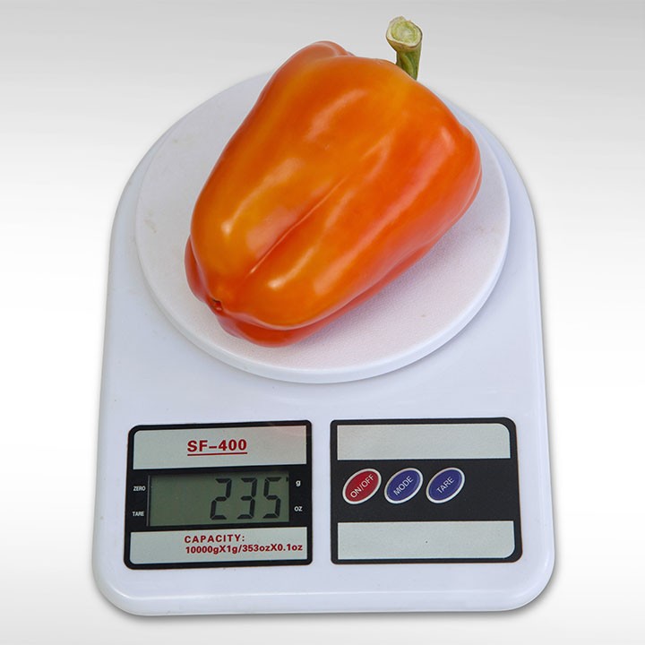 ПЕРЕЦ СЛАДКИЙ KS 3115 F1