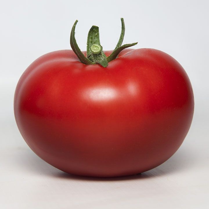 Томат Индетерминантный   KS 301  F1