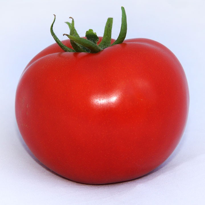 Томат Индетерминантный   ХИТОМАКС F1