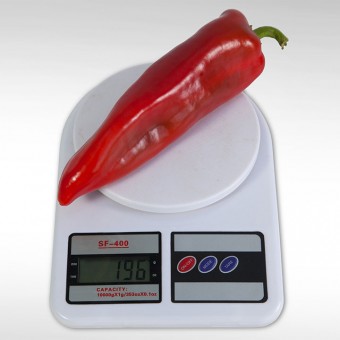 ПЕРЕЦ СЛАДКИЙ KS 2458 F1