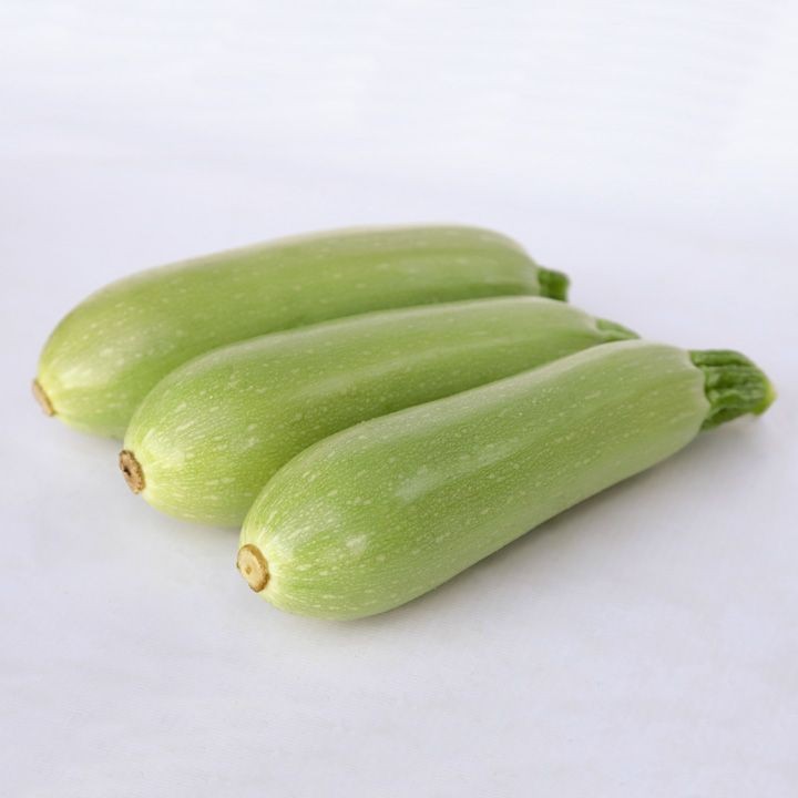 Кабачок KS 1241 F1