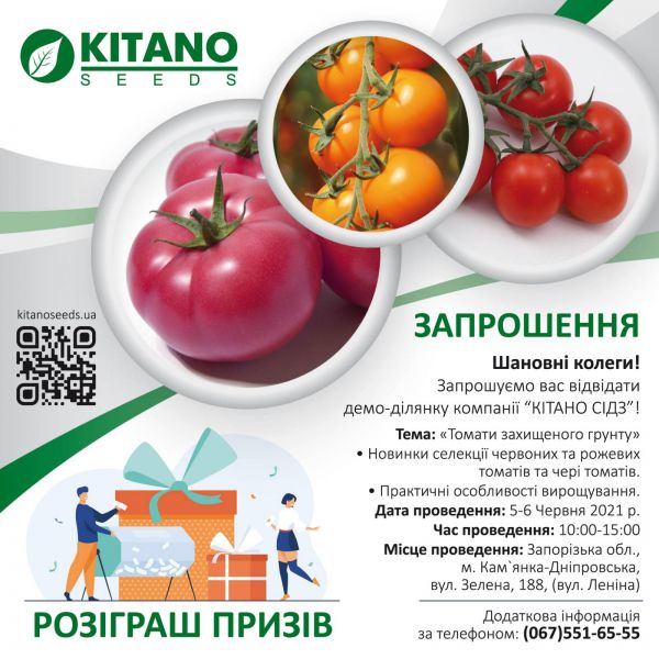 Запрошення ДП